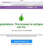 Red Onion 1
