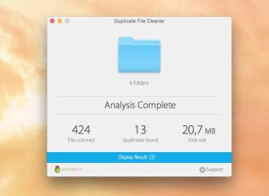 Duplicate File Cleaner