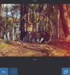 Enlight 2