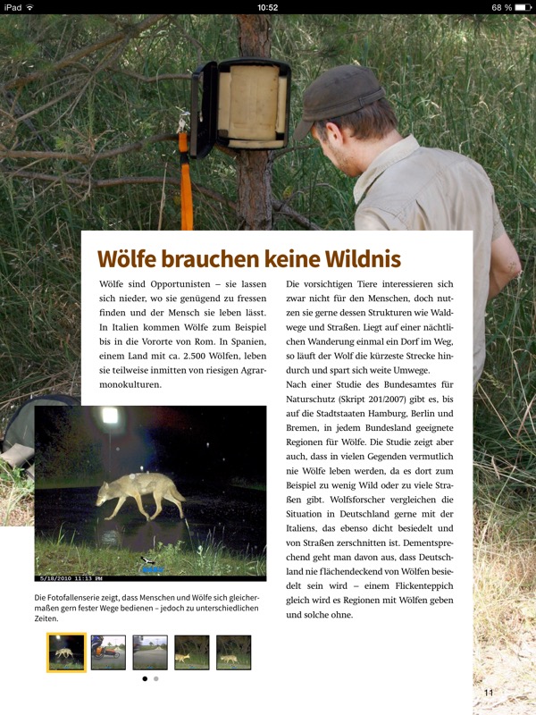 Willkommen Wolf! – Kostenloses iBook vom NABU informiert über Wölfe in Deutschland