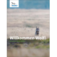 Willkommen Wolf! – Kostenloses iBook vom NABU informiert über Wölfe in Deutschland