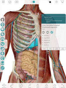 Atlas der menschlichen Anatomie