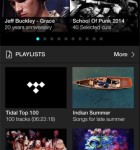 Tidal 1
