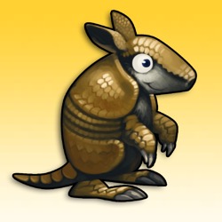 Armadillo Goldrausch: Eine Zeitreise in die vergangene Dekade