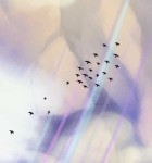 Gathering Sky 3