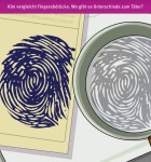 Die Drei Ausrufezeichen - Skandal im Tierheim 4