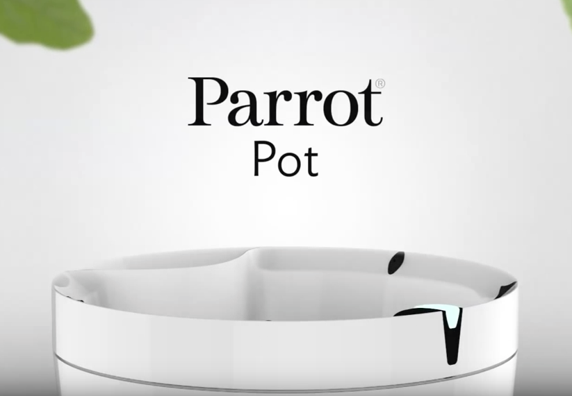 Parrot Pot Grafik