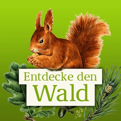 Die Waldfibel: Neue Inhalte für Info-App rund um den Wald