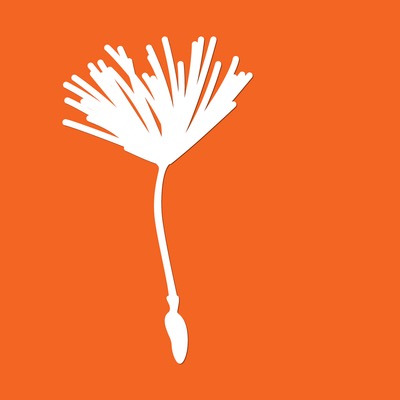 Husteblume, Allergiehelfer & Co: Diese iPhone-Apps zeigen den aktuellen Pollenflug an