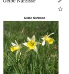 LikeThat Garden 4