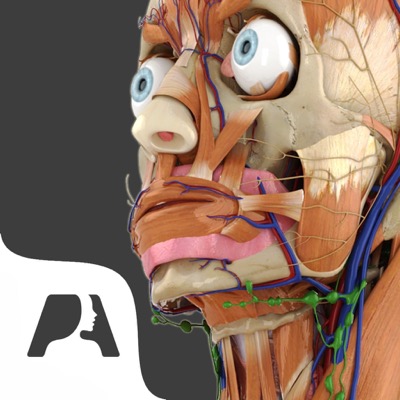 15 Euro sparen: „Pocket Anatomy“ für iPhone und iPad erstmals kostenlos