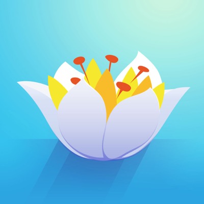 Float: Entspanntes, meditatives und herausforderndes Schwebe-Puzzle neu im App Store