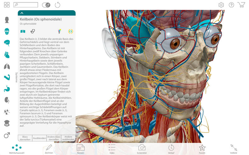 Atlas der menschlichen Anatomie Edition 2017