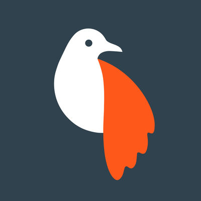 Olli by Tinrocket für 1,09 Euro: Foto-App verwandelt Bilder & Videos in handgezeichnete Kunst
