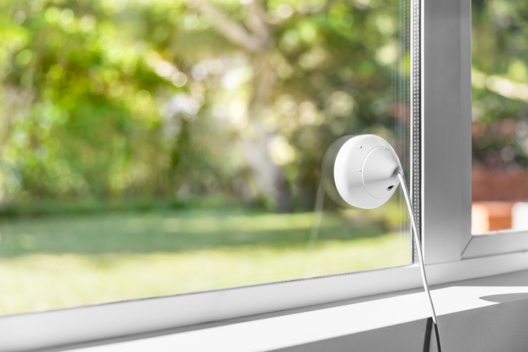 Logitech Circle 2 Fenster