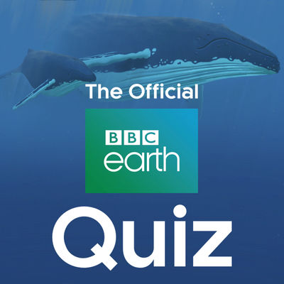 Das offizielle BBC Earth Quiz: Hier ist umfassendes Natur- und Geografie-Wissen gefragt