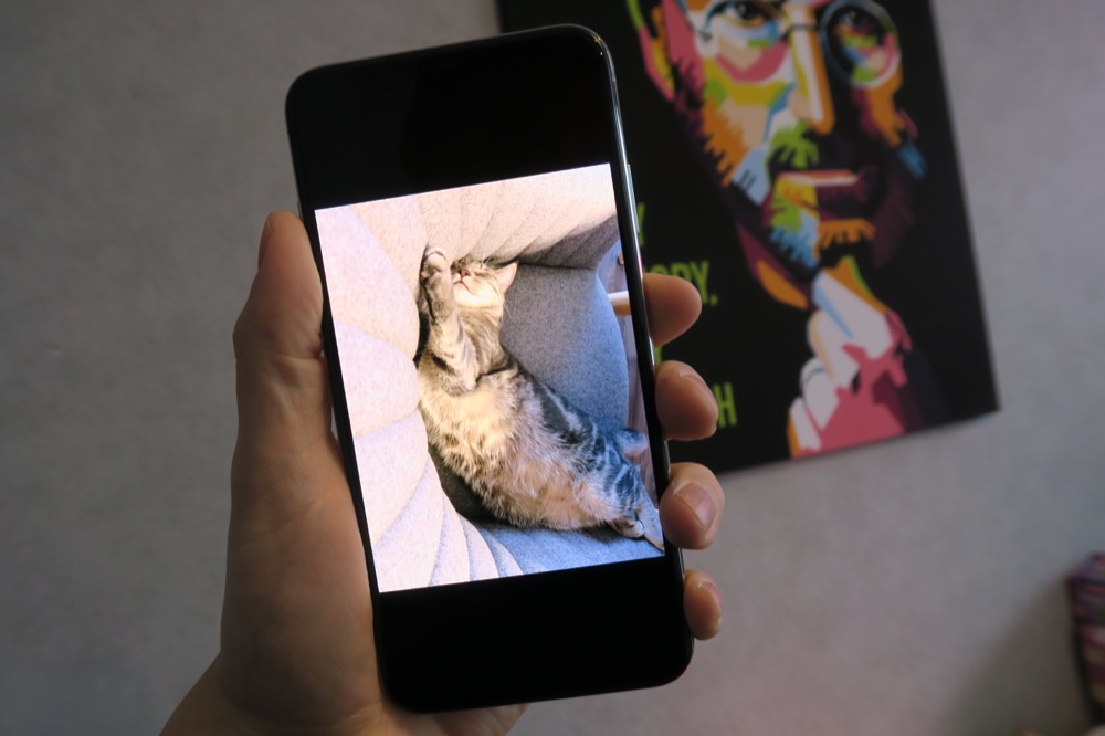 iPhone XS Max Test 4