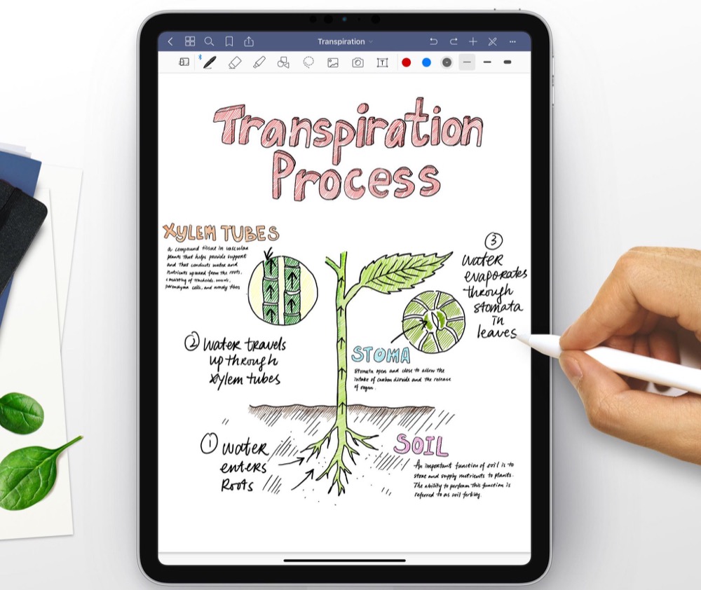 digital pens and how they work 