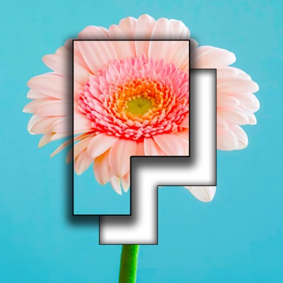 Pictominoes: Entspannendes Premium-Puzzle mit über 300 Leveln