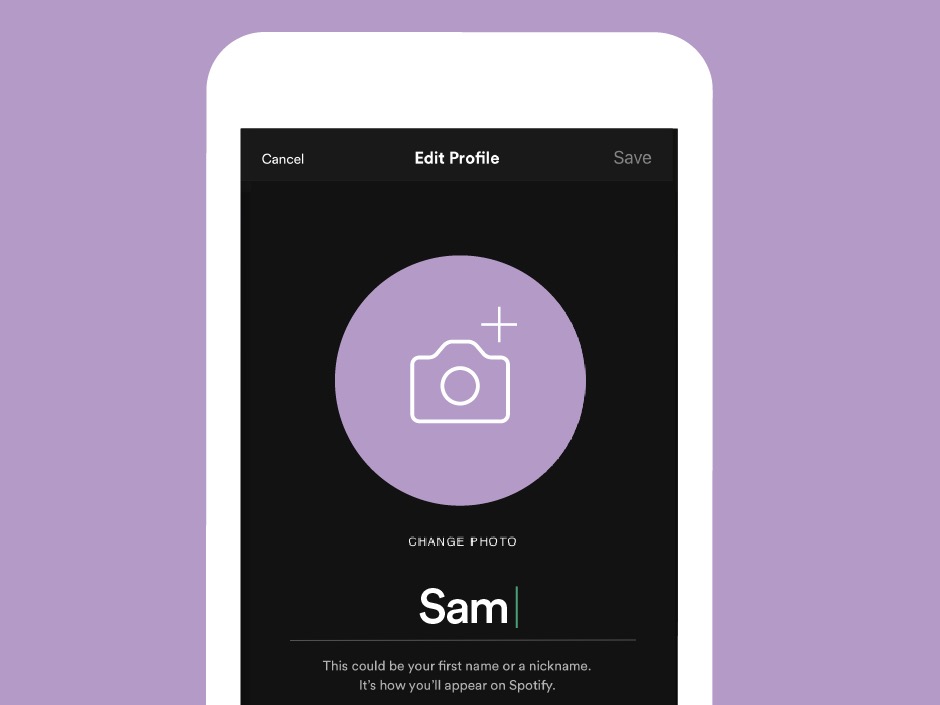 iOS-Icon von Spotify
