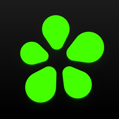 ICQ New: Der Kult-Messenger versucht einen Neustart