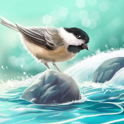 Flowing 2: Besser schlafen und entspannen mit 3D-Natursounds