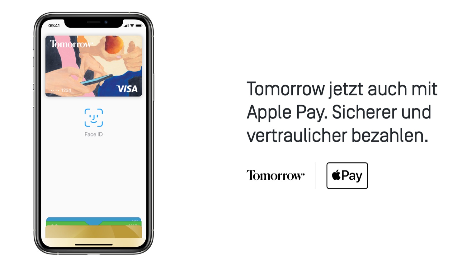 Apple Pay Icon