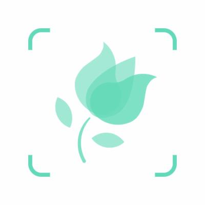 PictureThis: App zur Pflanzenbestimmung wird von Apple beworben