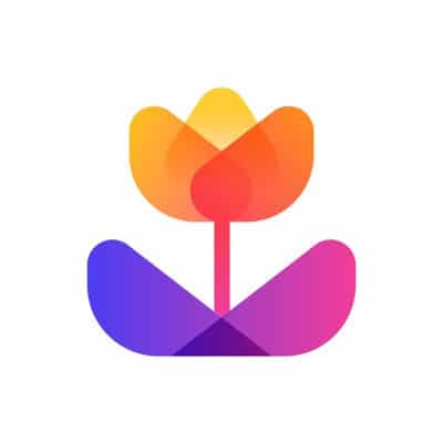 Macro by Camera+: Makro-Modus für alle iPhones mit iOS 15