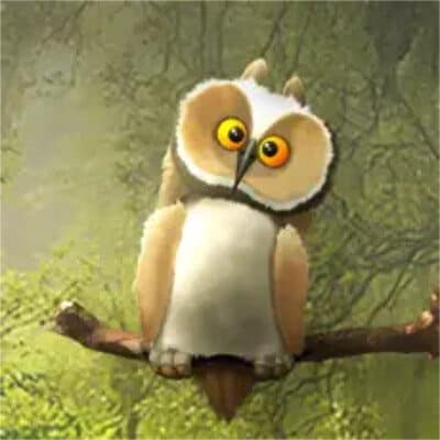 Klima Buddy: Baden-Württemberg veröffentlicht CO2-Rechner-App