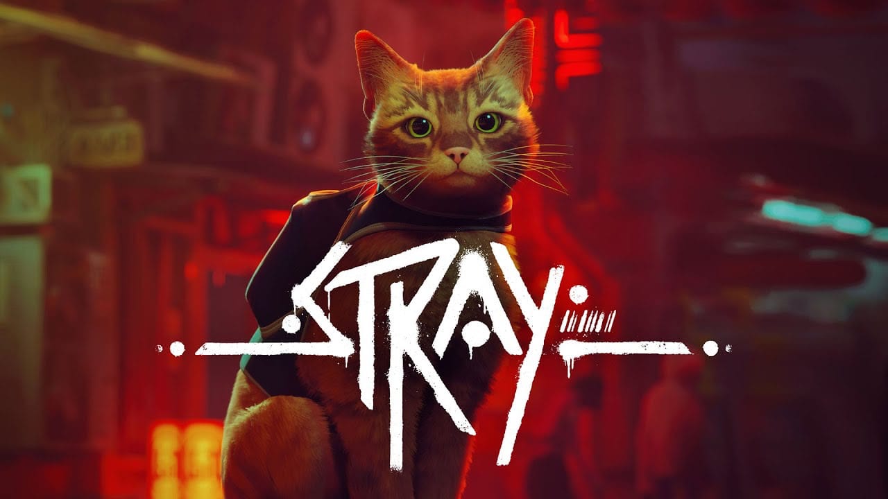 Banner zum Spiel "Stray" für macOS