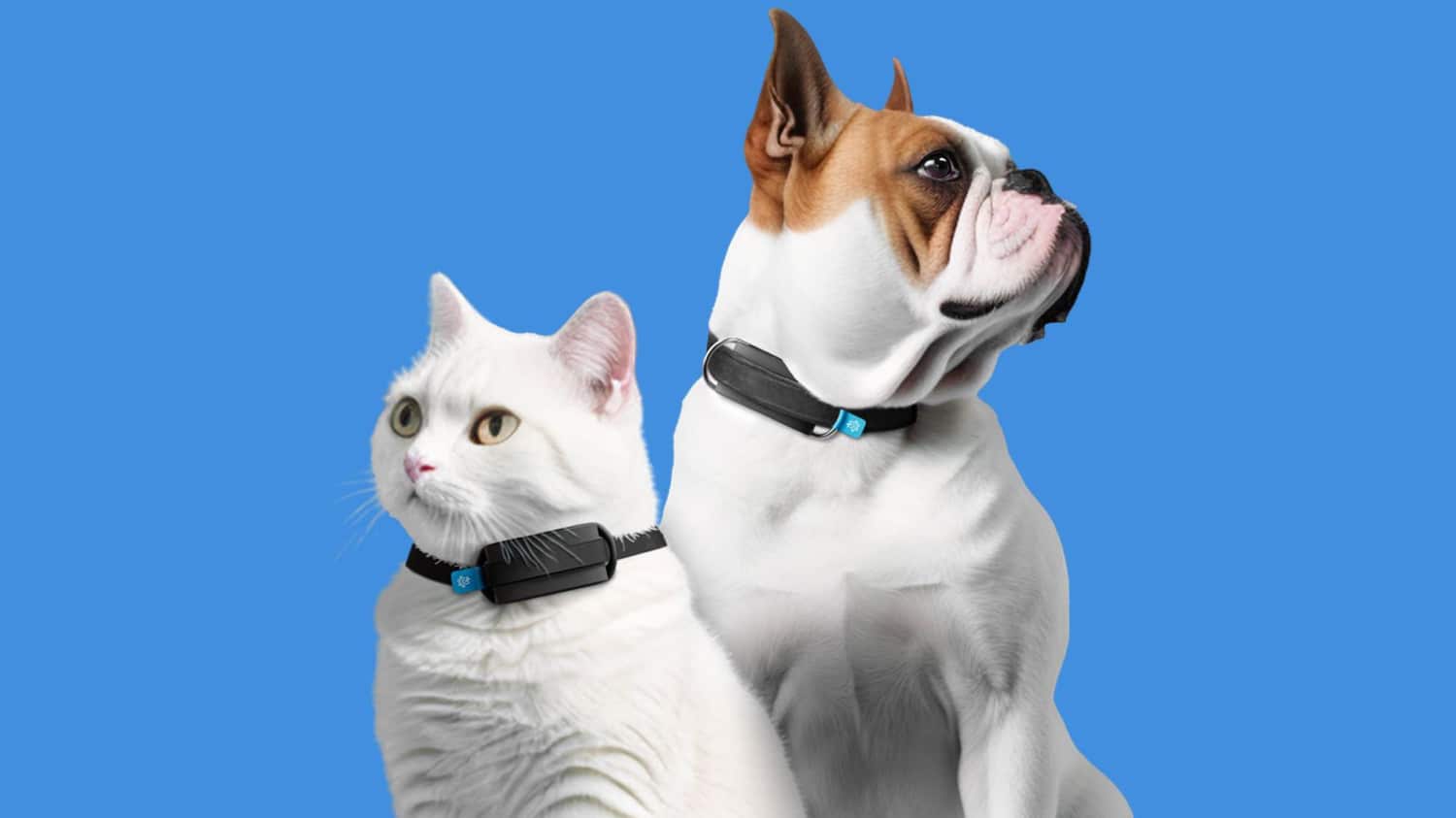 Invoxia Minitailz Smart Pet Tracker: Neuer Haustier-Tracker samt