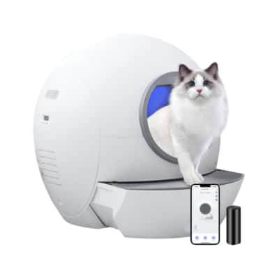 Amicura Cura 1: Katzentoilette reinigt sich selbst und kann per App gesteuert werden