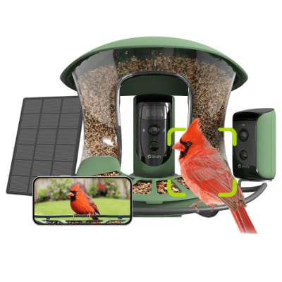 Birdfy Feeder 2 Duo: Neues Vogelfutterhaus setzt auf KI, zwei Kameras und Solarpanel