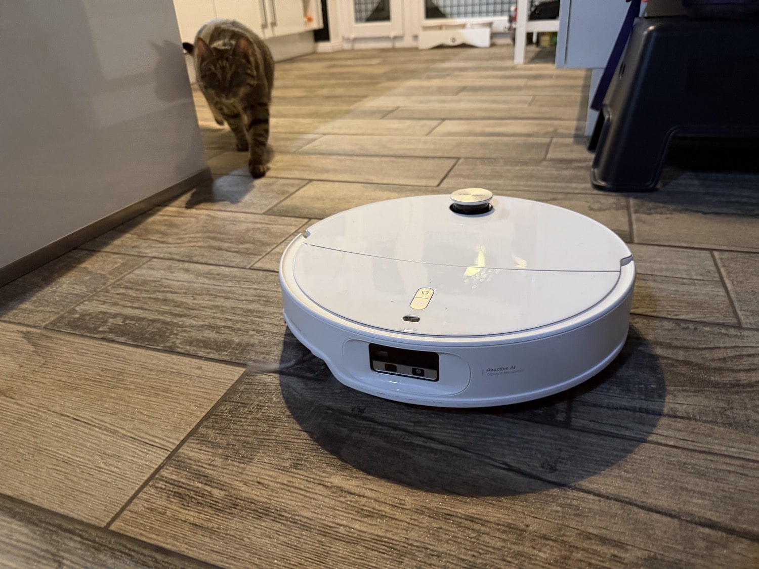 Der Roborock Qrevo Curv 2 Pro überholt eine Katze