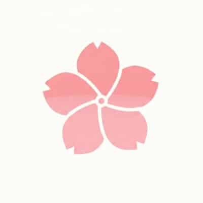 Flora: Diese App liefert auch die Pflanze des Tages