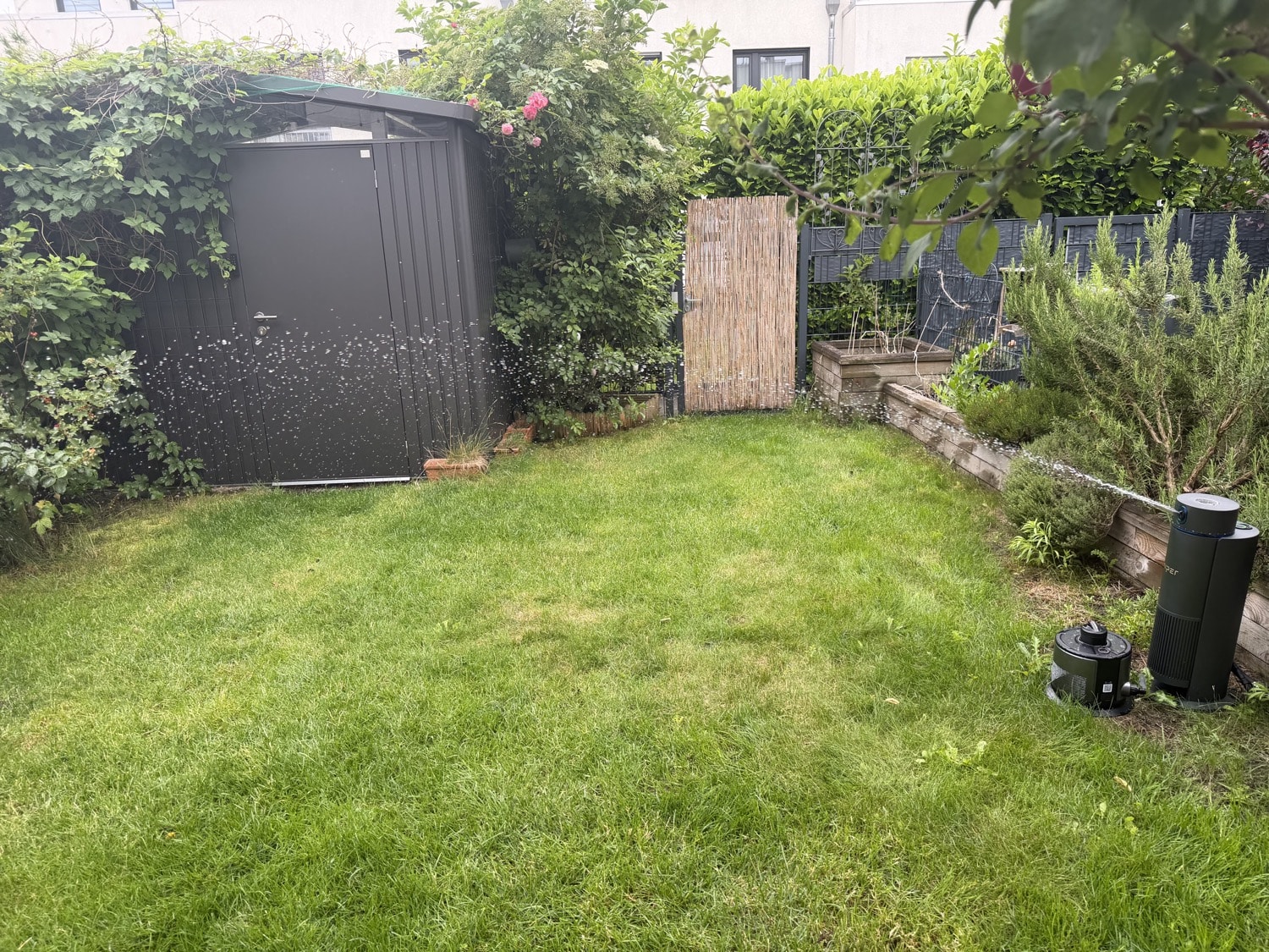 Der ganze Garten wird gezielt bewässert