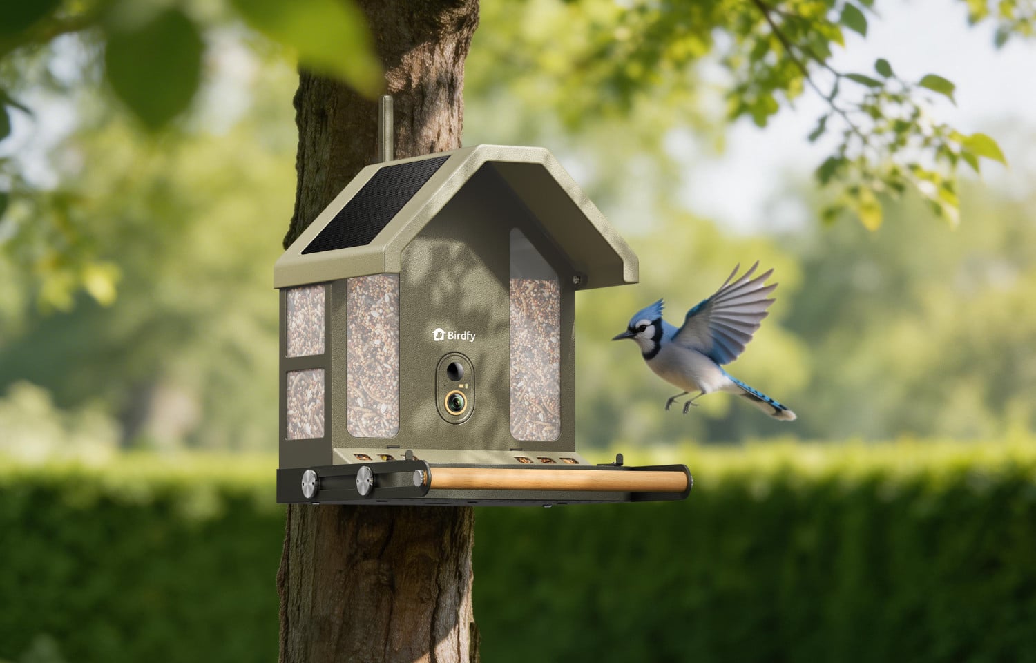 Birdfy Metal 2 4K hängt an einem Baum und wird von einem Vogel angeflogen