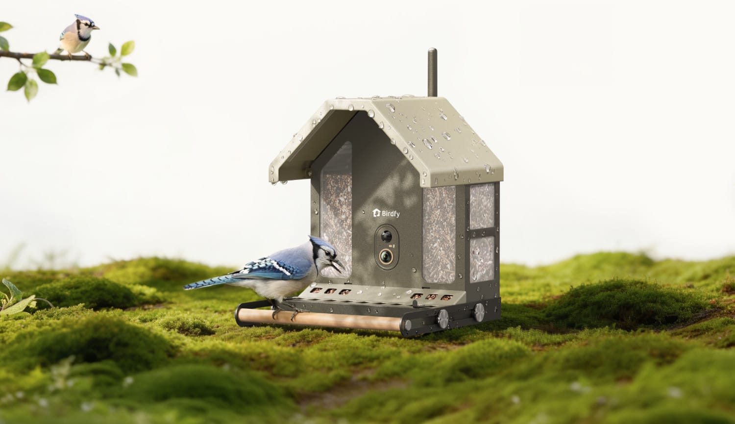 Birdfy Metal 2 4K steht auf einer Grasfläche und wird von einem Vogel genutzt