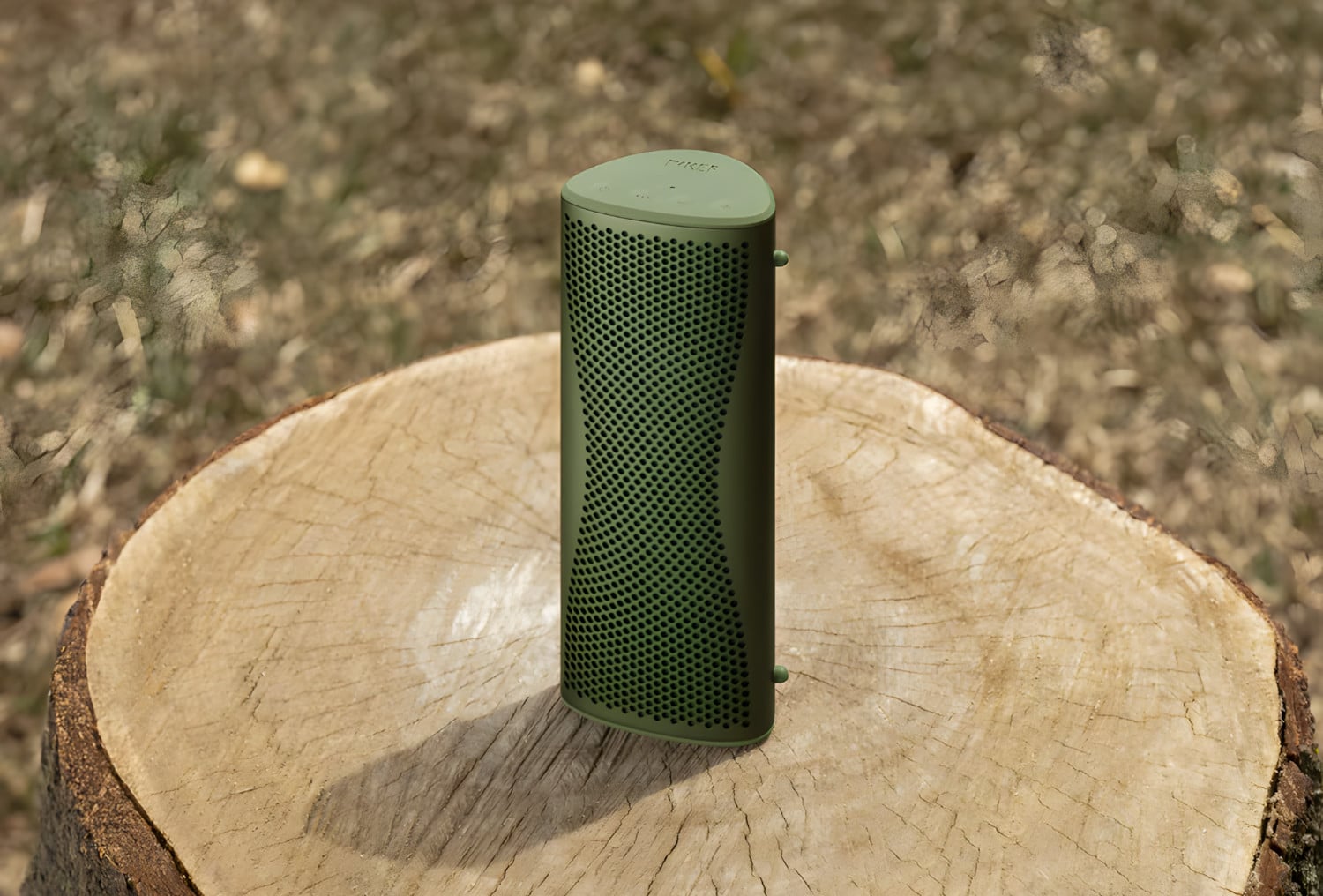 KEF Muo steht auf einem Holzstumpf
