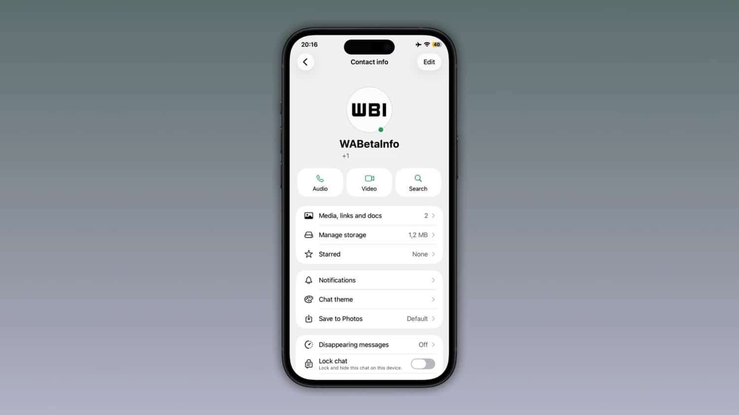 iPhone-Screenshot von WhatsApp mit grünem Punkt zum Onlinestatus