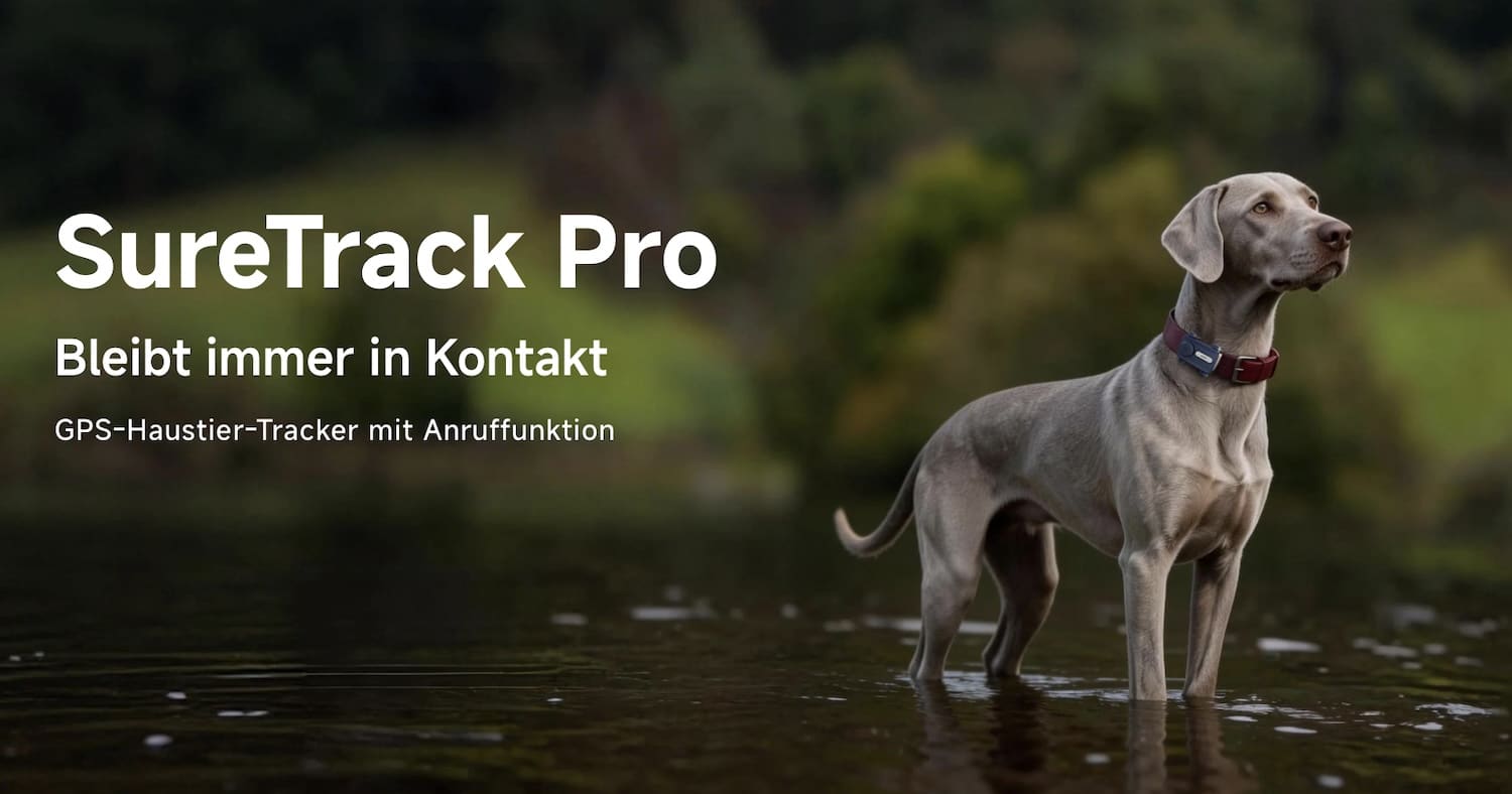 Ein Hund mit dem Mova SureTrack Pro