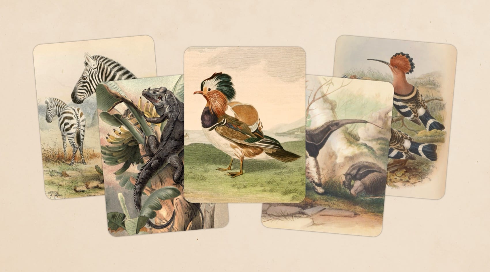 Art of Fauna kommt auf Apple Arcade