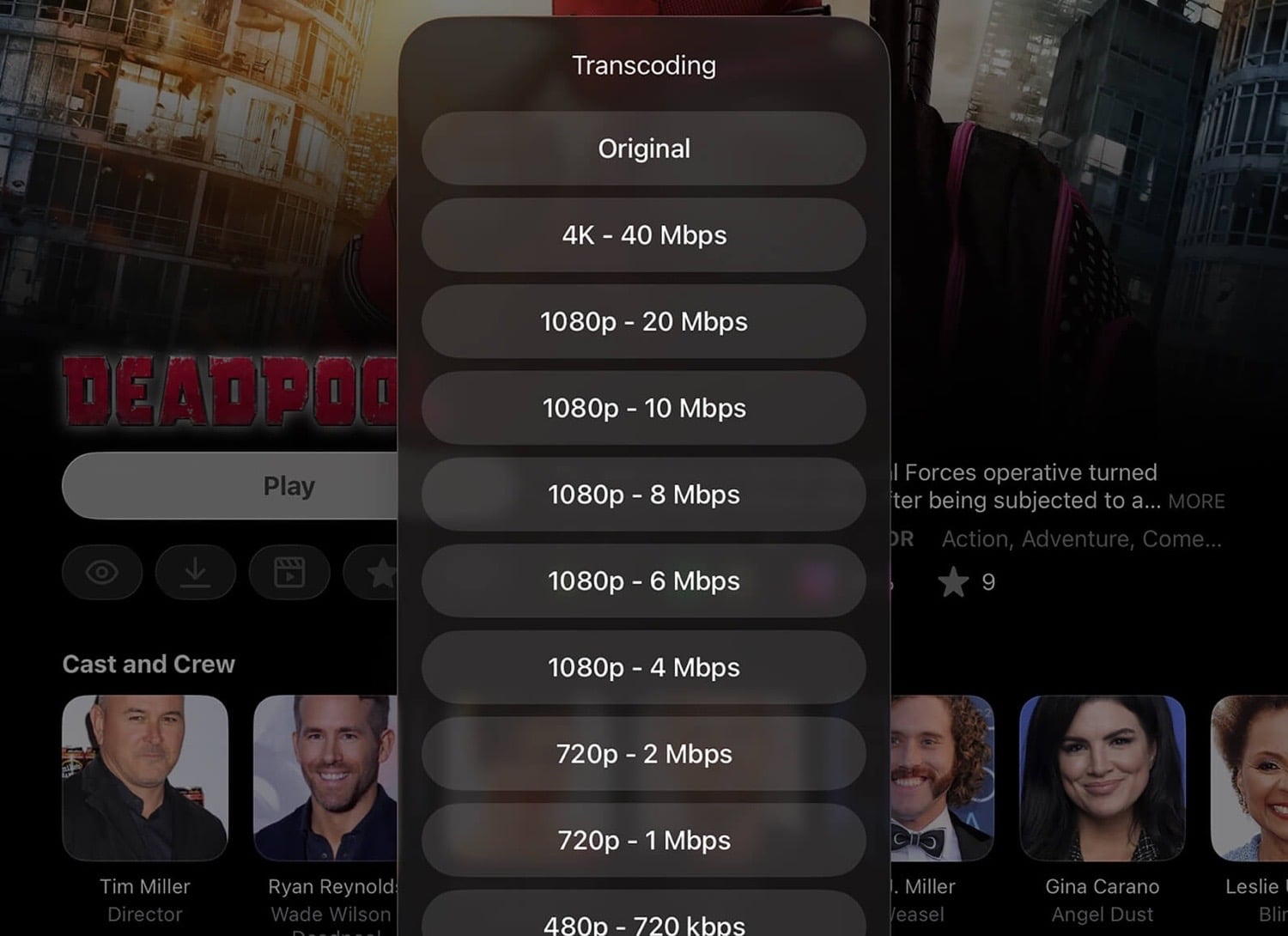 Infuse 8.5-Screenshot mit verschiedenen Transkodierungs-Optionen
