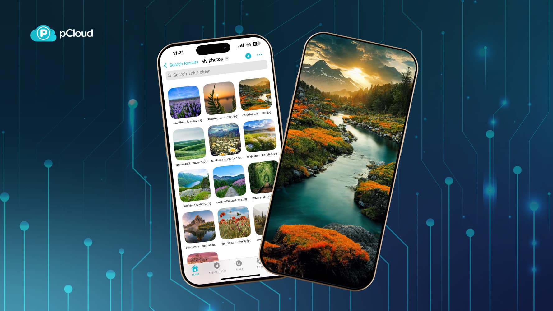 iOS App Icon für pCloud